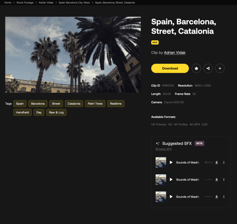 details stock footage choice bcn